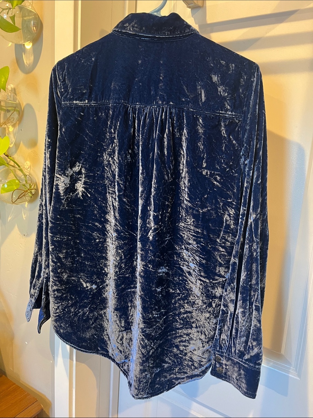 Pilcro Blue Velvet Button-Down Shirt - Picture 5 of 7